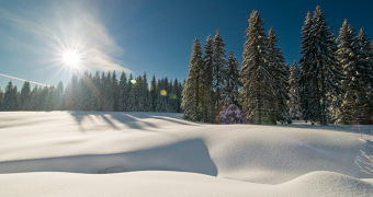Hausarzt_werden_in_BW-Aktionen-Winterschool_Bild_12